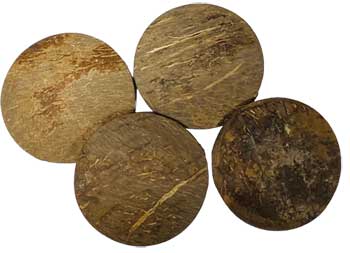 Chamalongo (Coconut Tops)