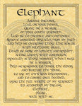 Elephant Prayer poster