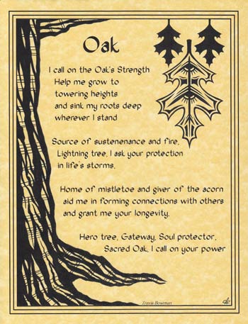 Oak poster