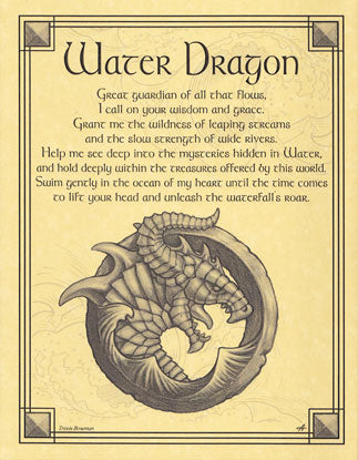 Water Dragon poster