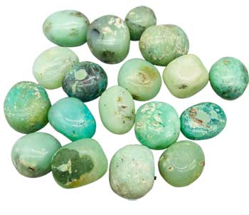 1 lb Chrysoprase, Green tumbled stones