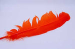 Orange feather 12"